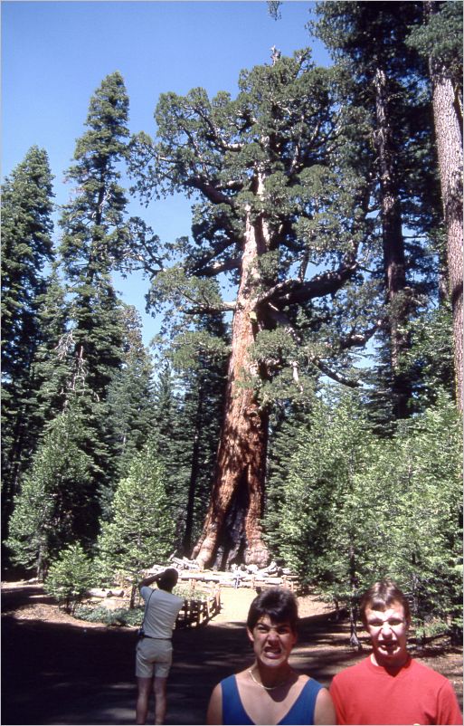 Siilly faces at the General Sherman